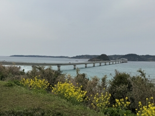 角島大橋